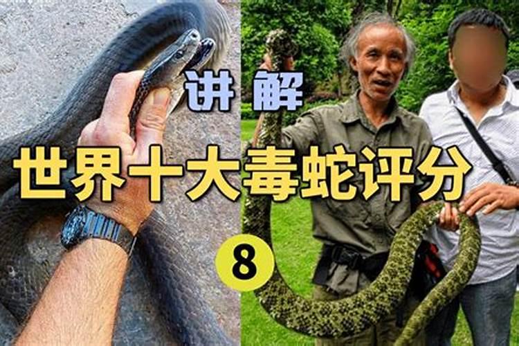 梦见龙咬自己手指的预兆
