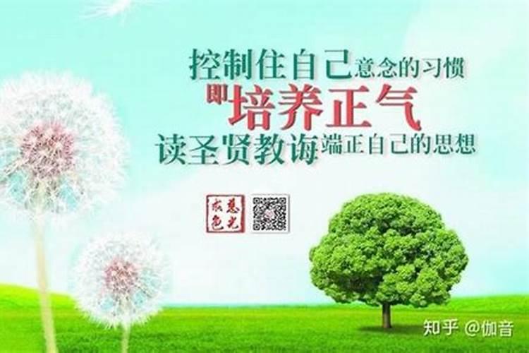 东北的元宵节习俗是什么