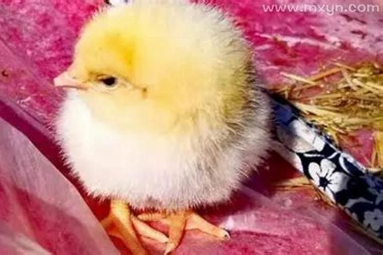 重阳节习俗 重阳节有哪些风俗活动