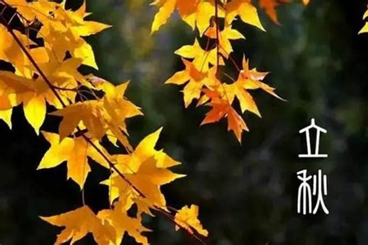 出生在立秋后算七月吗过了立秋算七月？
