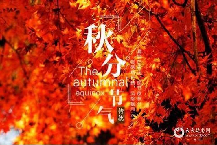 秋分出生的孩子好吗