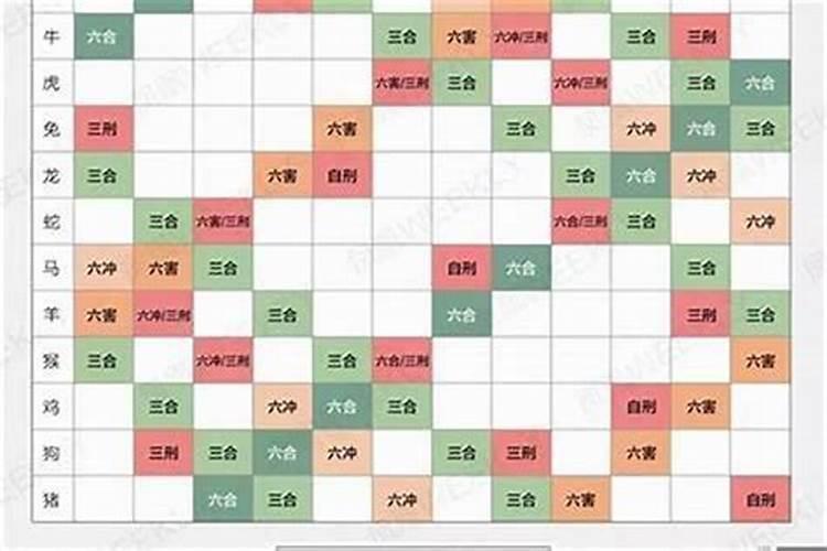 属龙的和什么属相合财