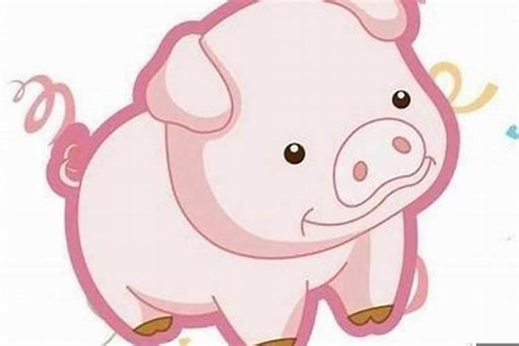 属猪人几点出生必定大富大贵属猪出生吉日