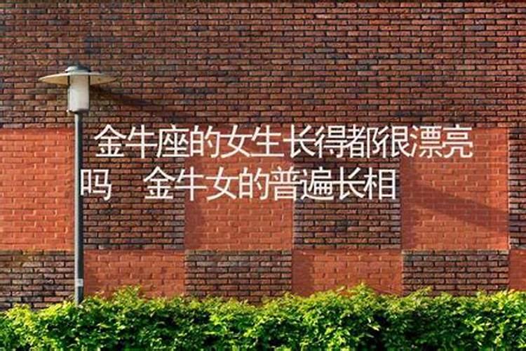 1970年属狗男2025年运势