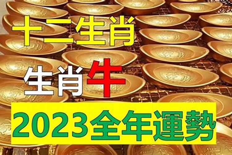 属牛人未来十年运势推算发展趋势？