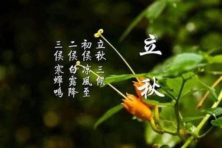 台州的传统文化元素有哪些,台州传统文化特色