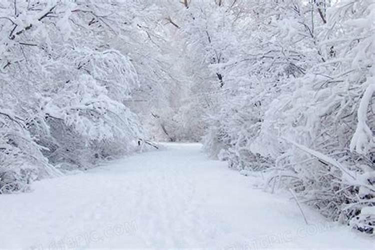 女人梦见下雪了白茫茫一片什么预兆