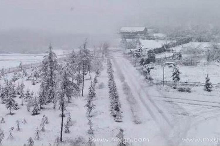 梦见下雪了白茫茫一片什么预兆