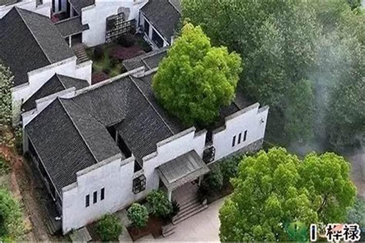 2025年属龙犯太岁吗