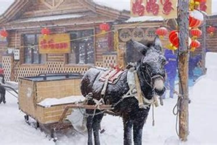 腊月二十六是什么星座
