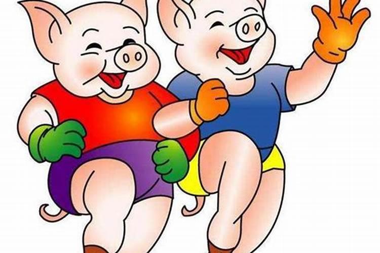 女的1971属猪人一生的运程婚姻个人感情