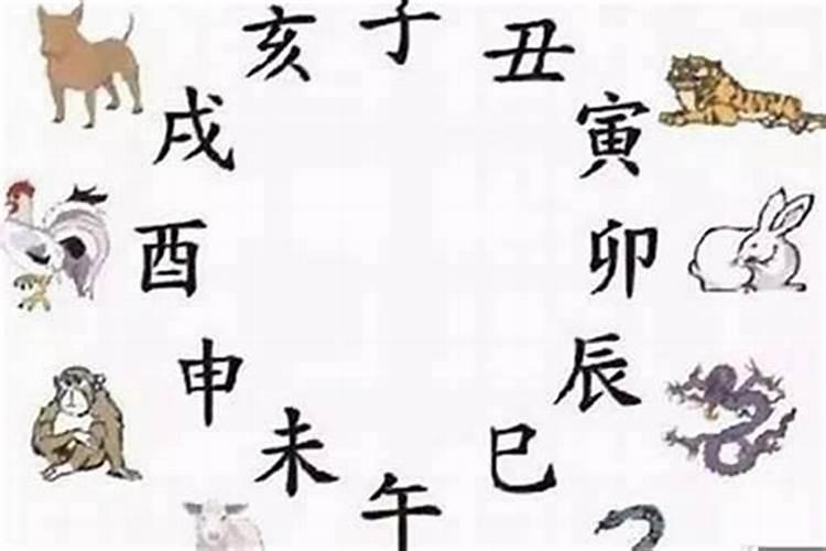 1996年属鼠水命和2002年属马木命婚姻合适吗？