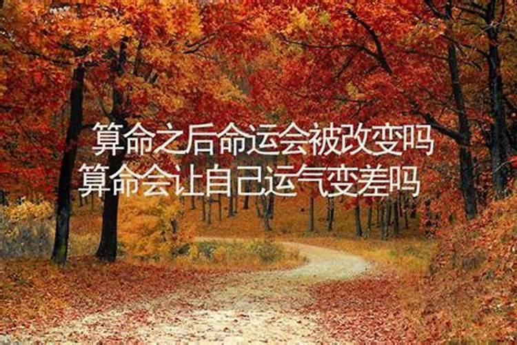 68猴今年运气如何