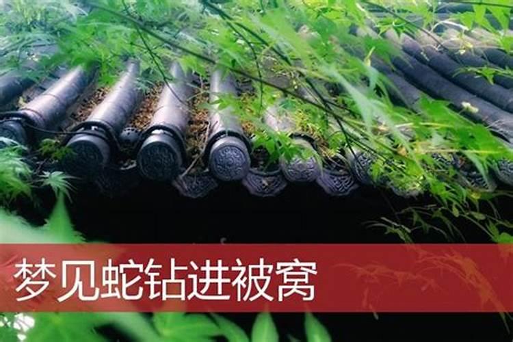天津市正月十五哪里有灯会