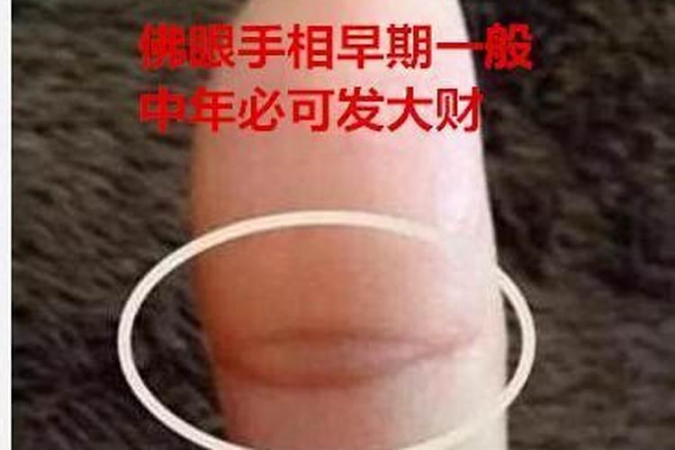 属狗和属猪的合财吗