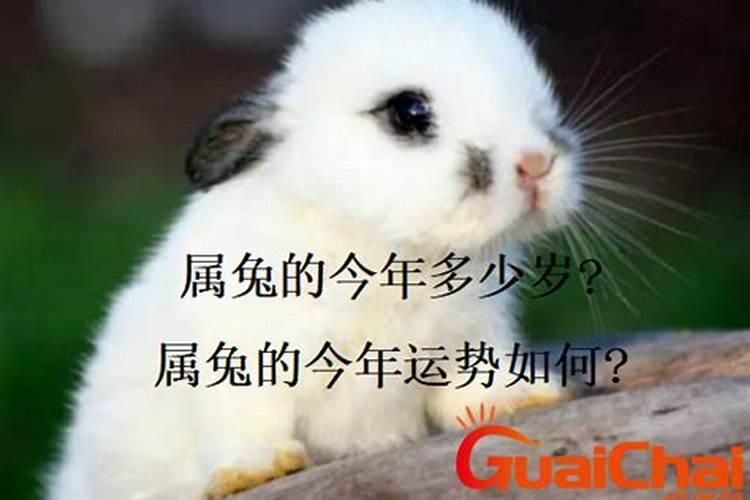2025年5月26日特吉生肖是什么