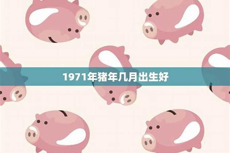 猪年八月出生是什么命