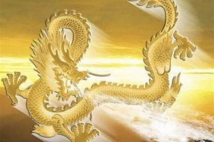 2026年属狗人的全年运势详解