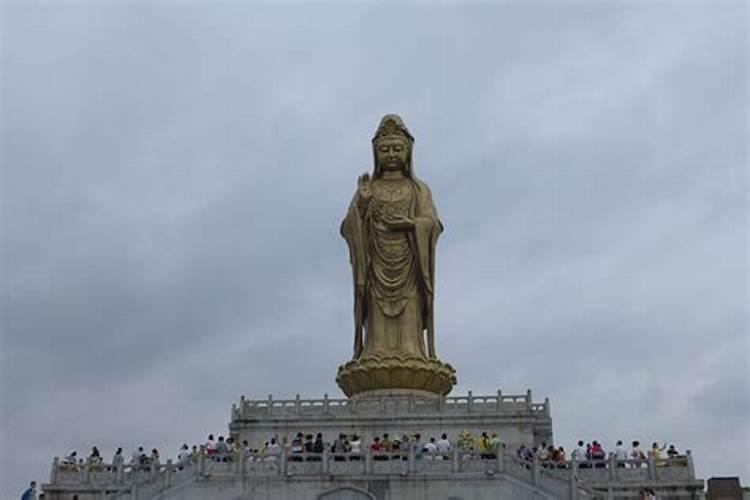 田鼠化驾是清明节气的物候特征,猜猜"鸳"是什么鹌鹑类小鸟鹰隼类猛禽百 ...