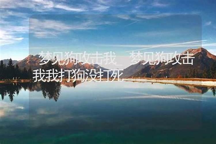 梦见狗摔死的预兆