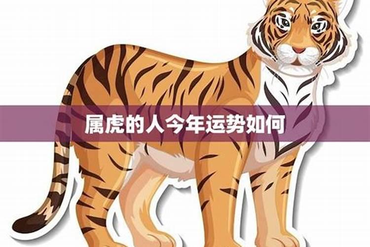2025属虎人最旺的月份