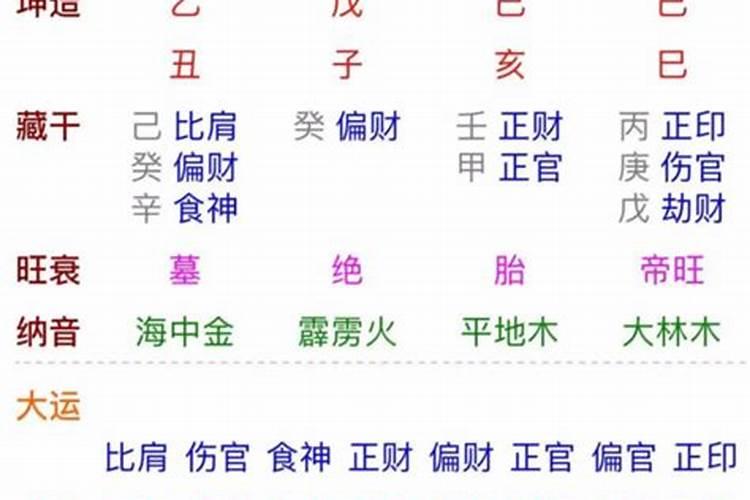己亥日柱