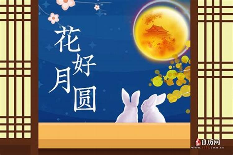 1975年属兔女士[50岁]2025年运势大分析,看看每个月该如何应对