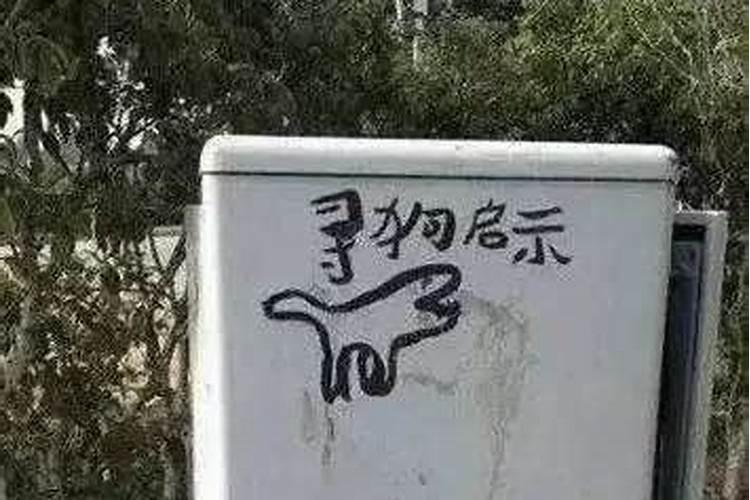 梦到狗丢了找不到了