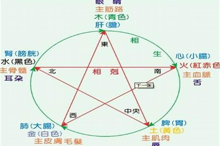 生肖和五行哪个婚配准