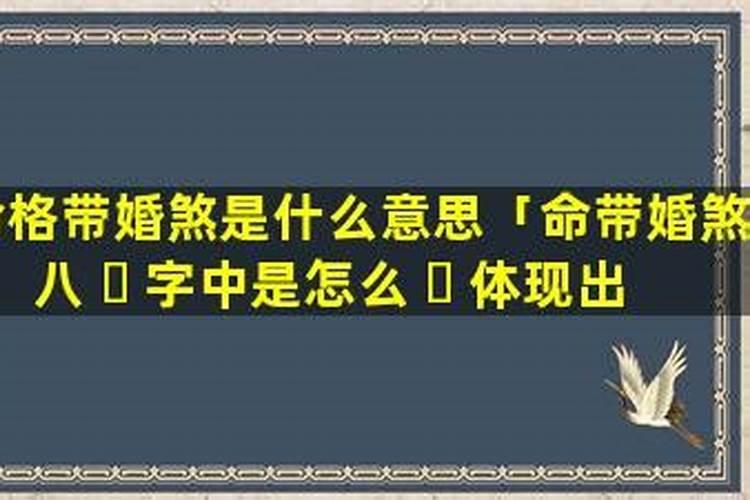 1977年正月初五早上八点生人的属啥