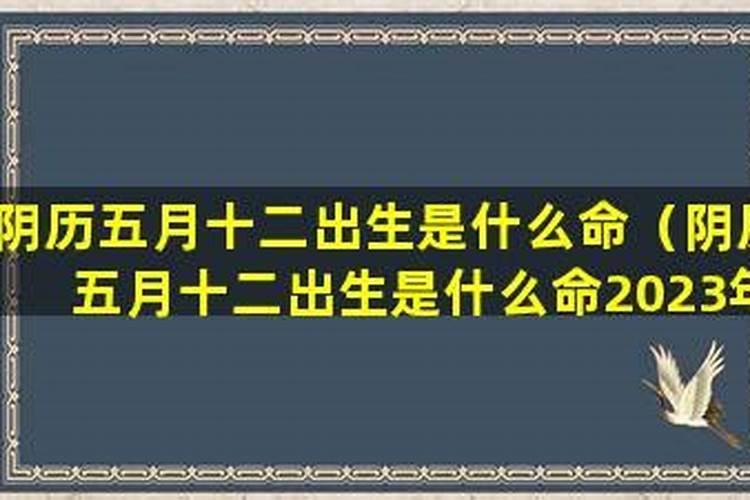 三命通会 壬子日不同时辰生人的命运解析