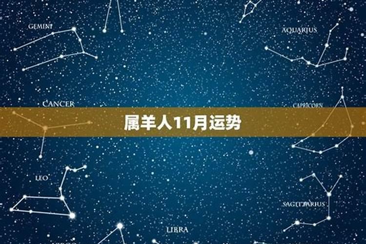 75年兔2025年运势完整版