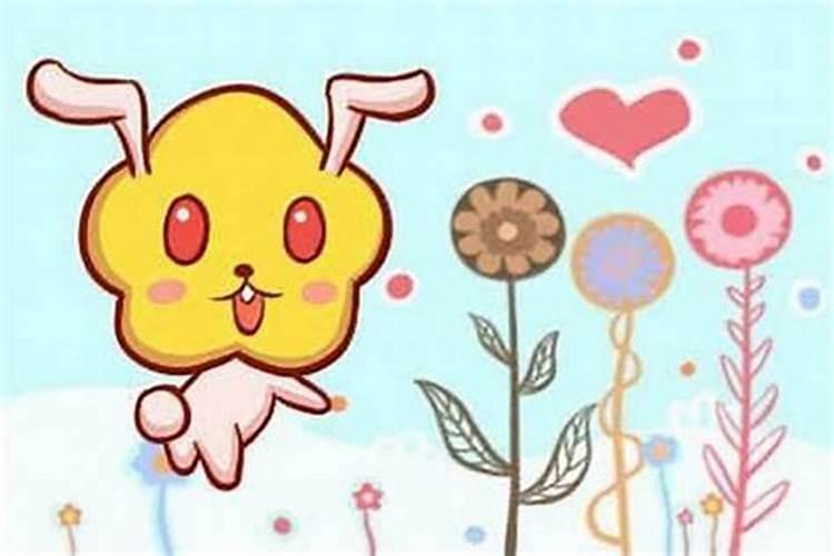 八四年五月男和八七年正月兔合婚吗？