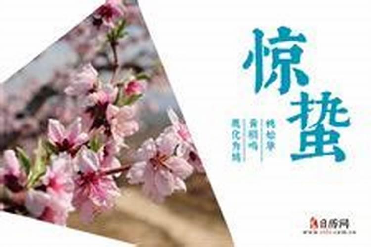 2025年几月的蛇宝宝是富贵命