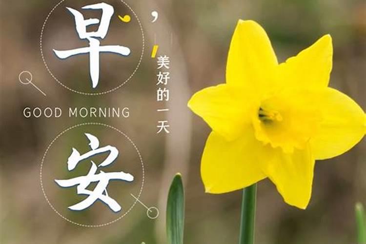 属猪人一生运势