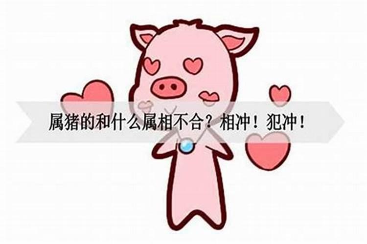 2024年犯太岁列表