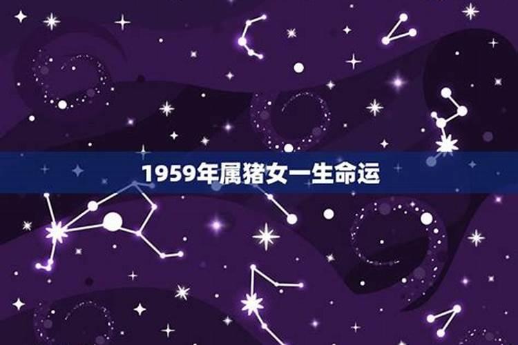 1960年01月08日出生属猪的(男)在2007年运势如何？