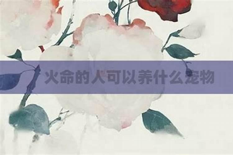 怎么判断八字喜忌和喜用神,八字怎么看十神,神煞的喜用忌用呢？