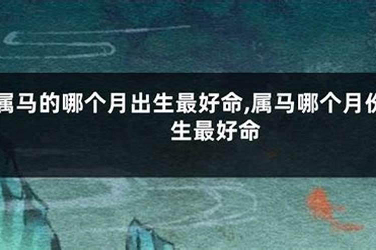 属马的几月出生最好 运势