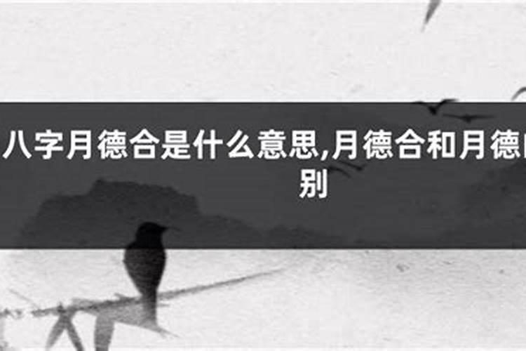 八字排盘什么意思