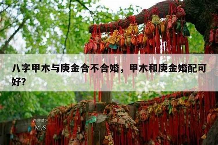 乙木最怕庚金合家庭会变得不幸