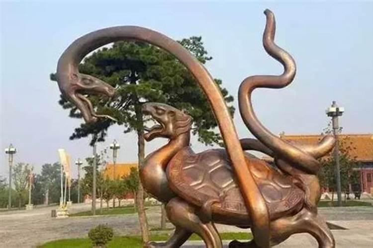 梦见蛇和龟是什么意思？