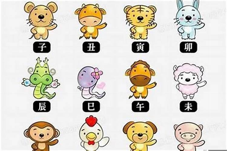 八字不合孤苦无依的动物是什么