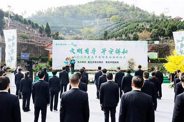 属蛇起什么名字最旺财