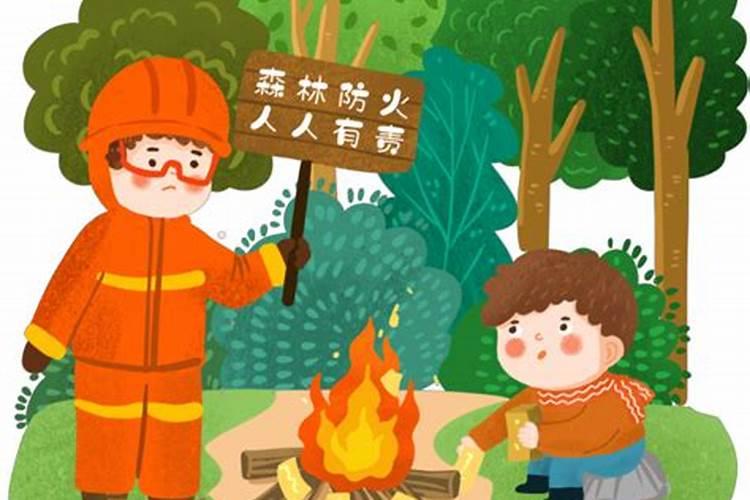 2000年龙年属什么的命