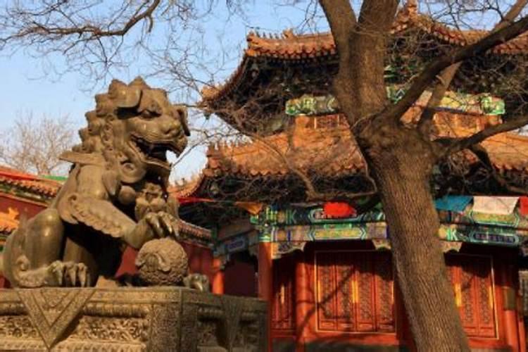 开封狗市什么时间开门？