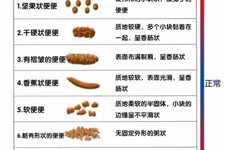锅贴哪里的好吃