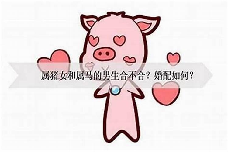 戊癸合会发生什么情况