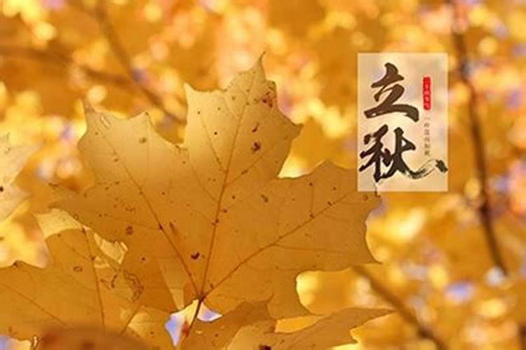 十二生肖属相犯太岁的年份,鼠年犯太岁的四个属相