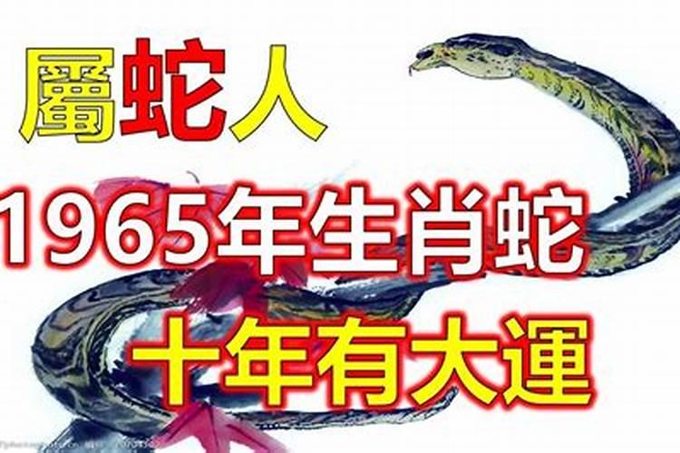 生肖蛇1965年2025年运势如何 生肖蛇1965年2025年全年运势